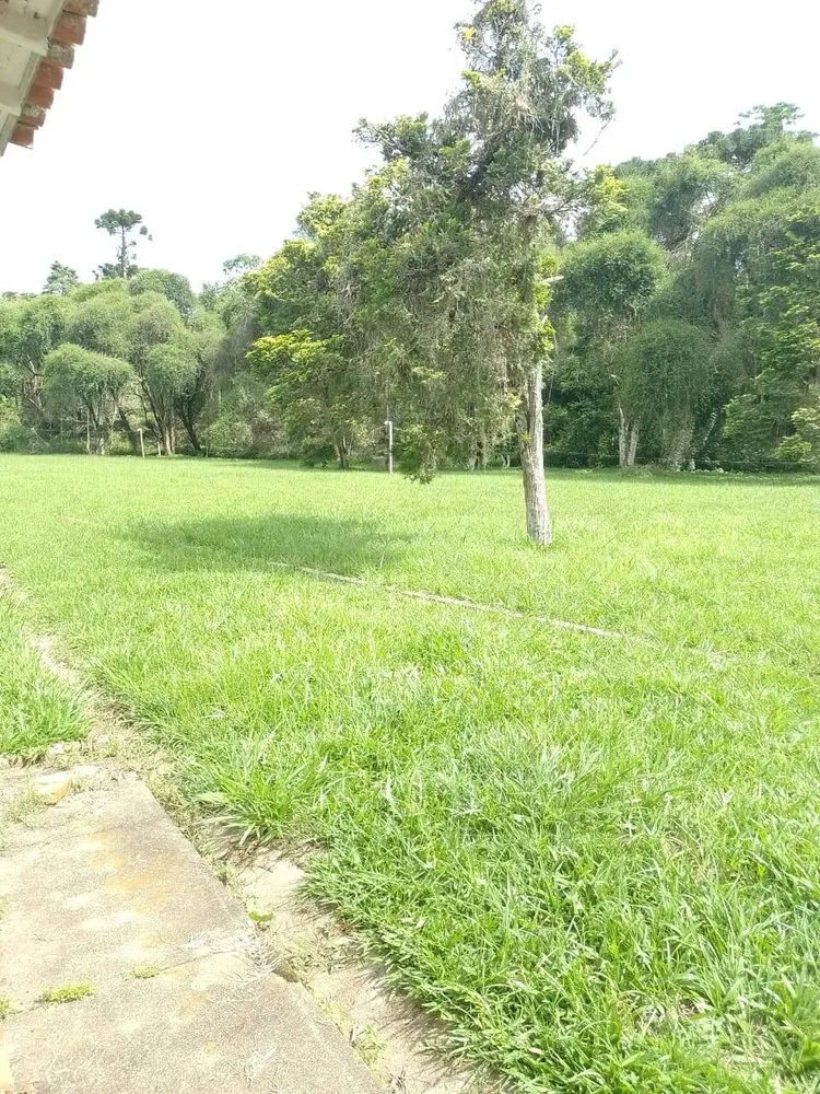 Sítio, 7 quartos, 1550 m² - Foto 6