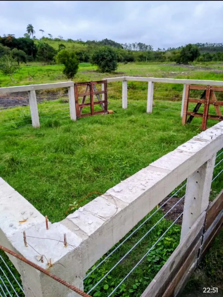 Fazenda, 33 hectares - Foto 3