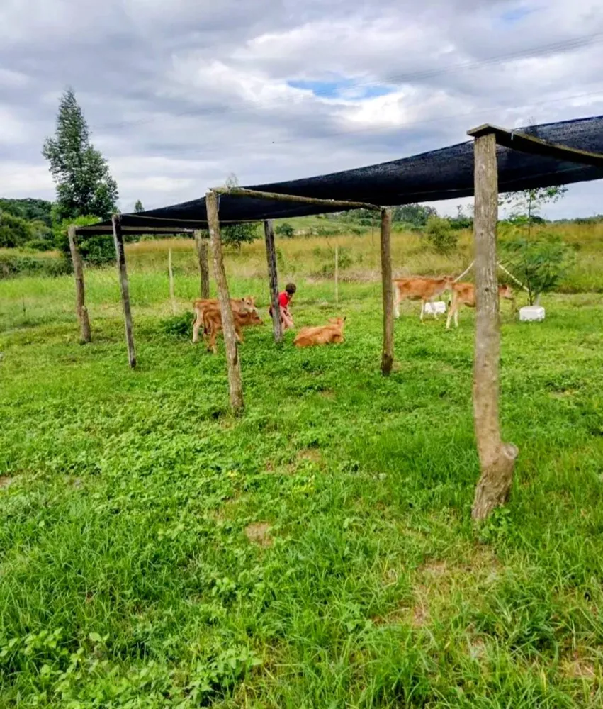 Fazenda, 33 hectares - Foto 15