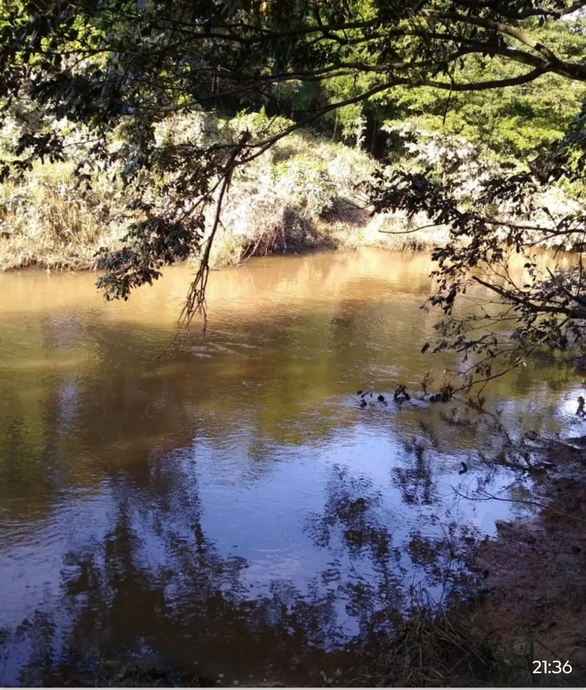 Fazenda, 33 hectares - Foto 4
