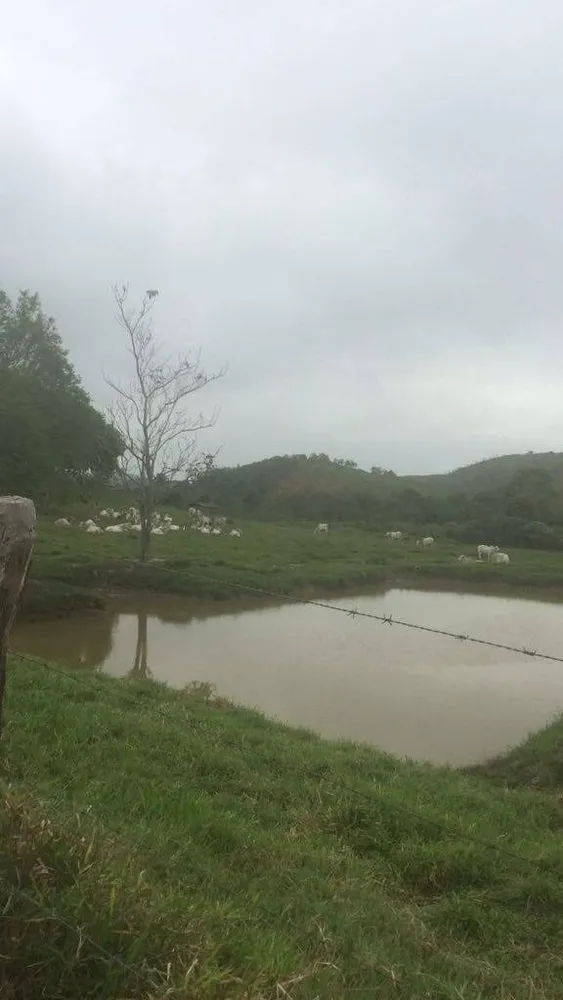 Fazenda, 30 m² - Foto 18