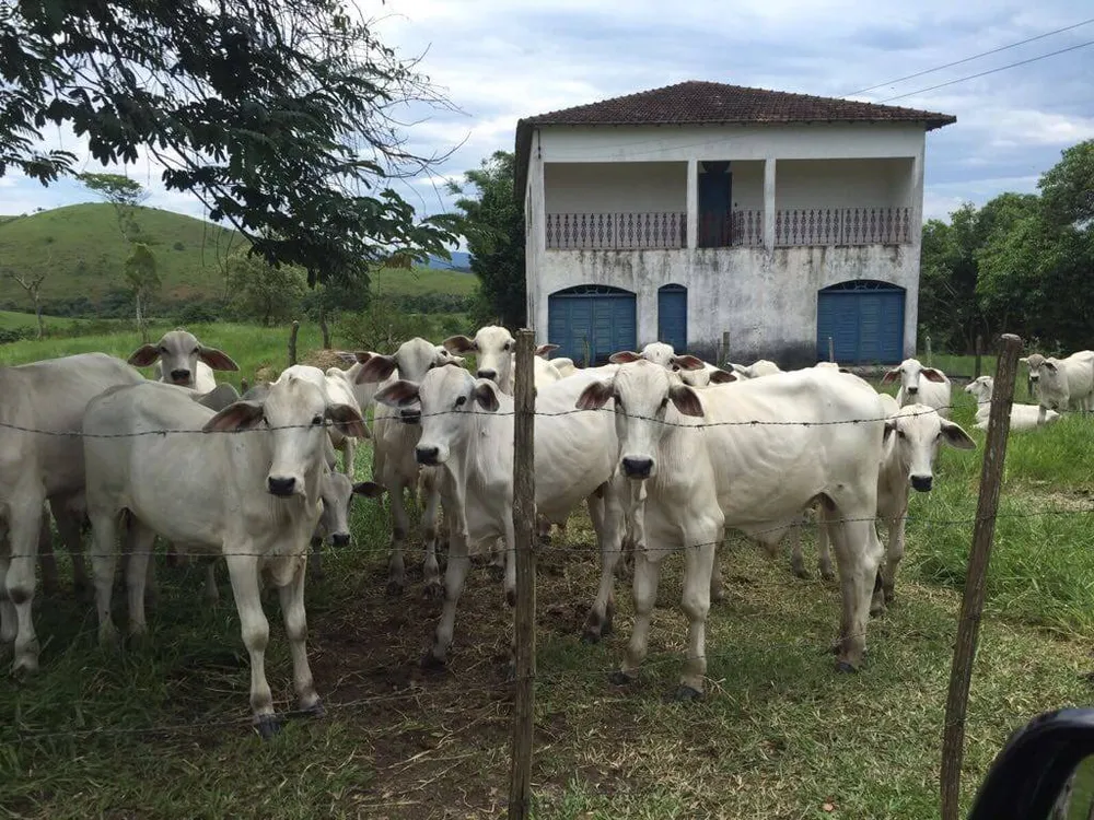 Fazenda, 30 m² - Foto 1
