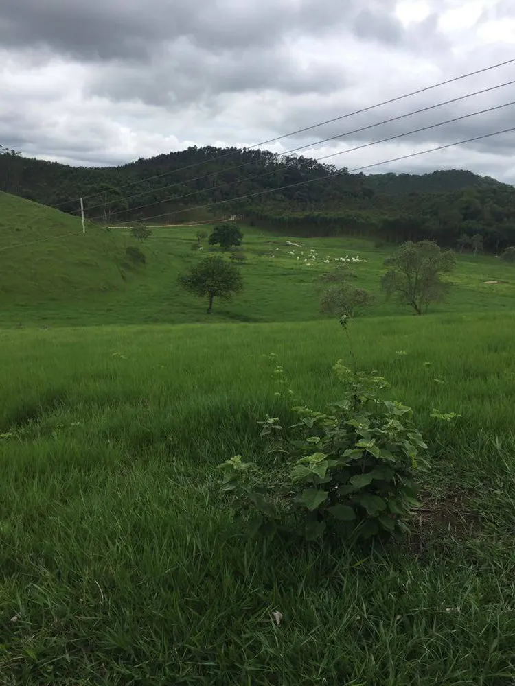 Fazenda, 30 m² - Foto 8