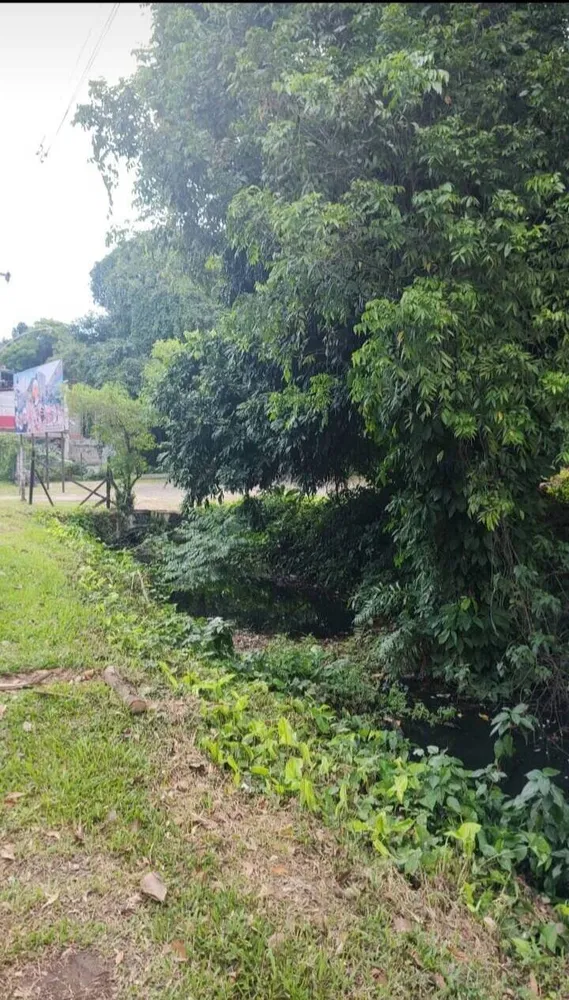 Terreno, 3150 m² - Foto 2