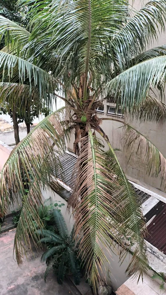 Apartamento, 2 quartos, 90 m² - Foto 1