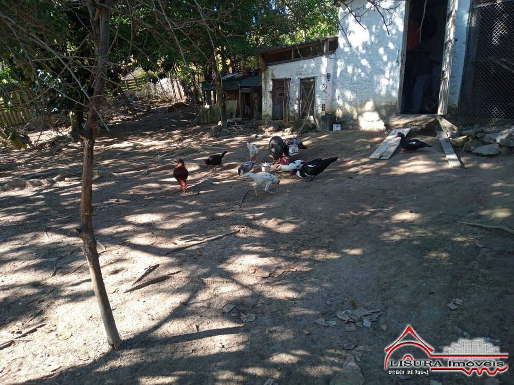 Chácara, 3 quartos, 1 hectares - Foto 40