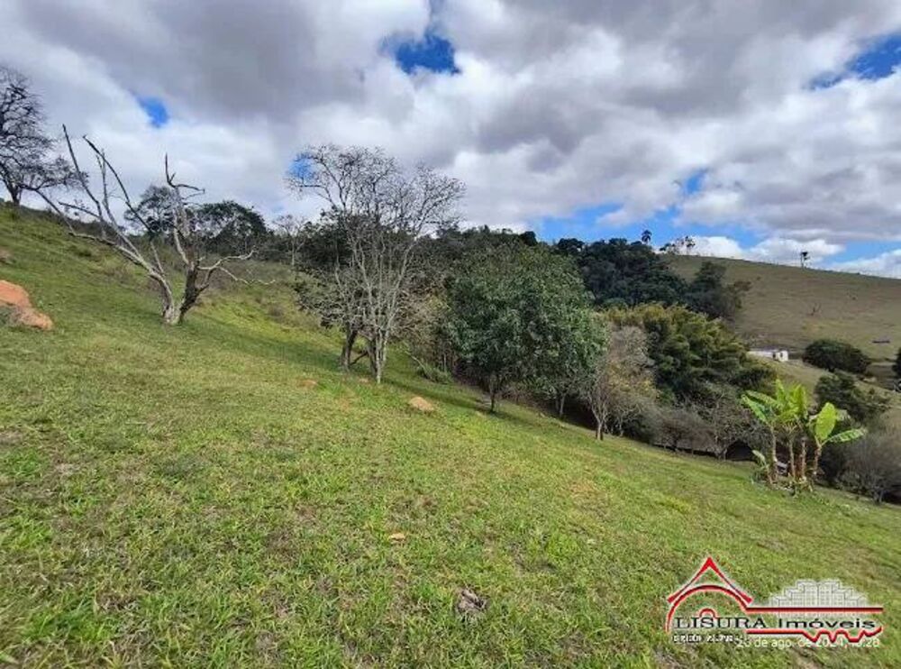Sítio à venda com 1 quarto, 13200m² - Foto 4