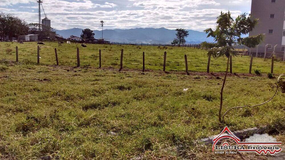 Terreno, 4 hectares - Foto 7