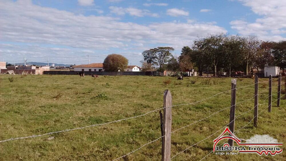 Terreno, 4 hectares - Foto 6