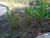 Terreno, 2580 m² - Foto 7