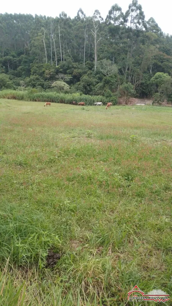 Terreno - Foto 1