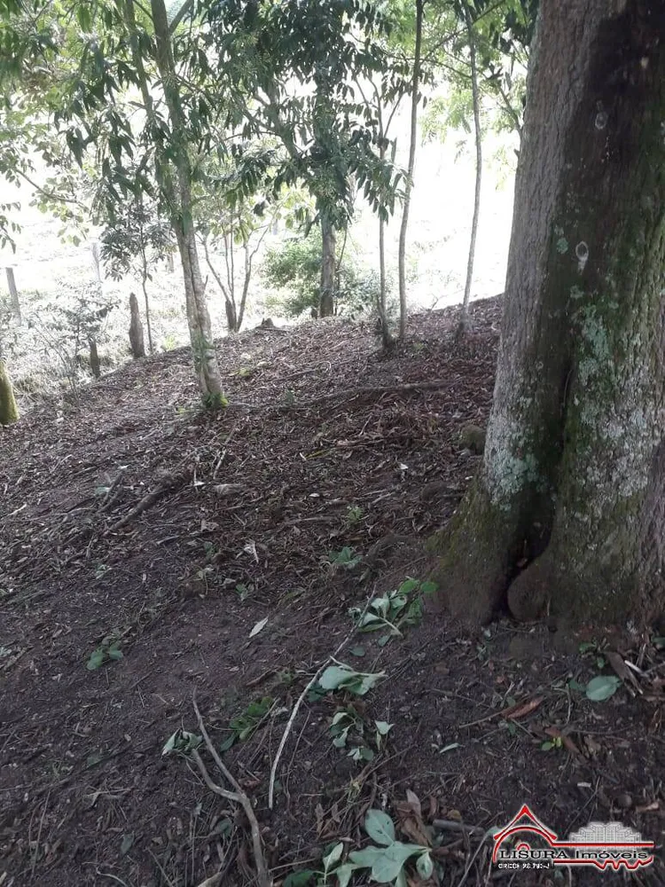 Terreno - Foto 10