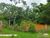 Terreno, 1800 m² - Foto 10