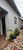 Casa, 3 quartos, 192 m² - Foto 10