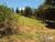 Terreno, 1070 m² - Foto 3