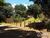 Terreno, 1070 m² - Foto 5