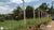 Terreno, 3600 m² - Foto 1