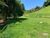 Terreno, 2 hectares - Foto 2