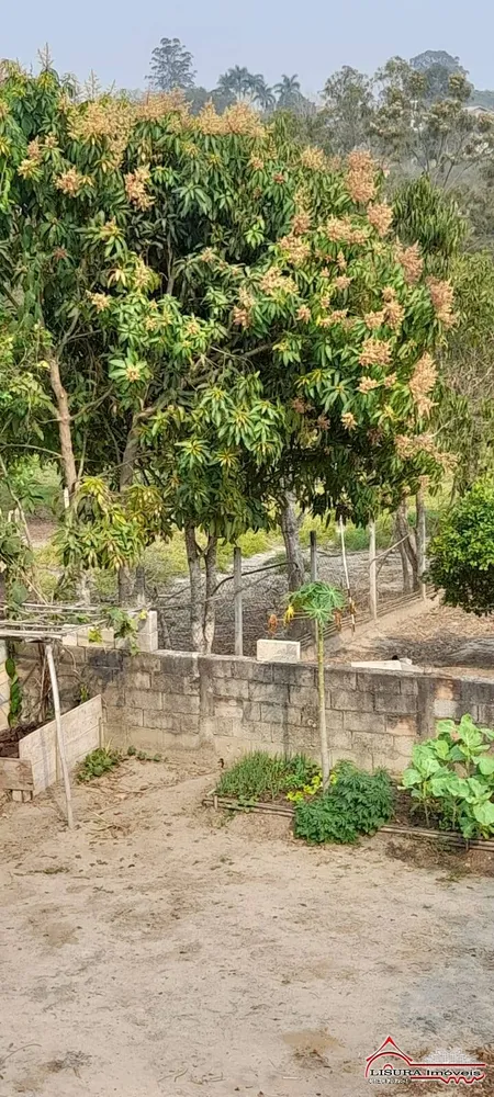 Chácara, 2 quartos, 4560 m² - Foto 9