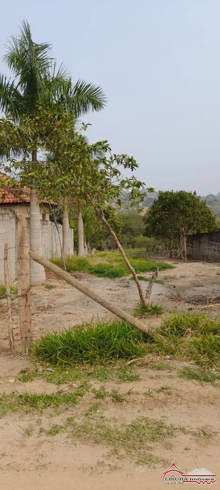 Chácara, 2 quartos, 4560 m² - Foto 8