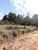 Terreno, 250 m² - Foto 1