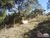 Terreno, 3 hectares - Foto 14