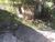 Terreno, 3 hectares - Foto 7