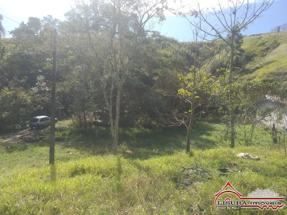 Terreno, 3 hectares - Foto 8