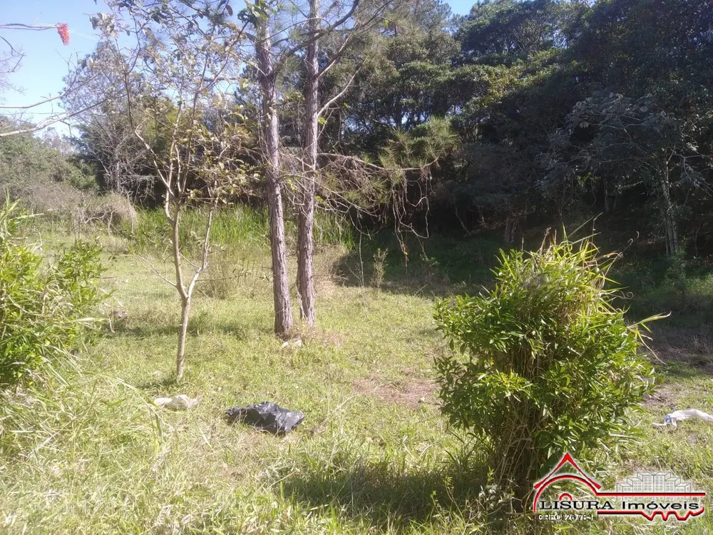 Terreno, 3 hectares - Foto 6