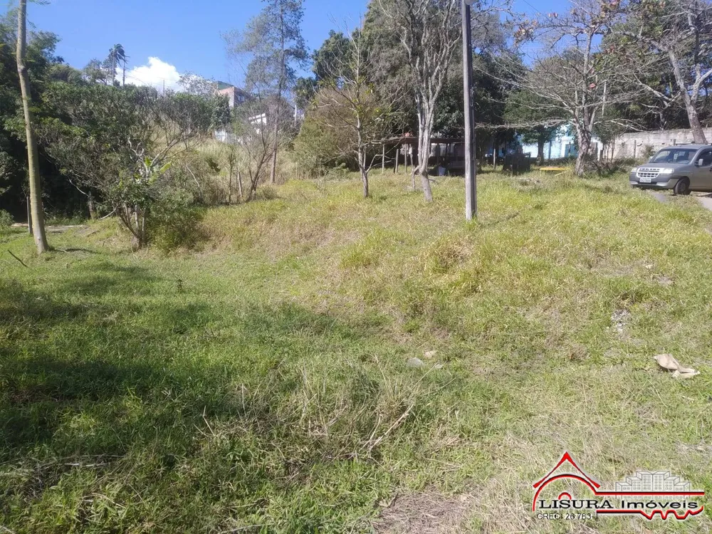 Terreno, 3 hectares - Foto 7