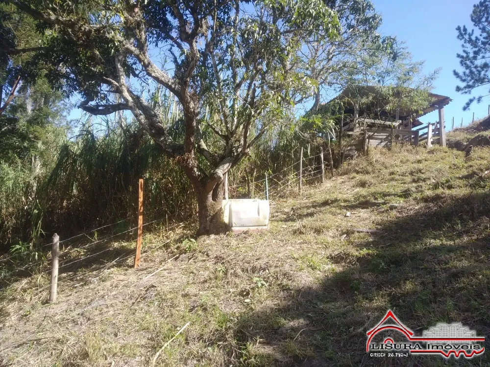 Terreno, 3 hectares - Foto 12