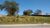 Terreno, 1 hectares - Foto 1