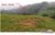 Terreno, 1000 m² - Foto 2