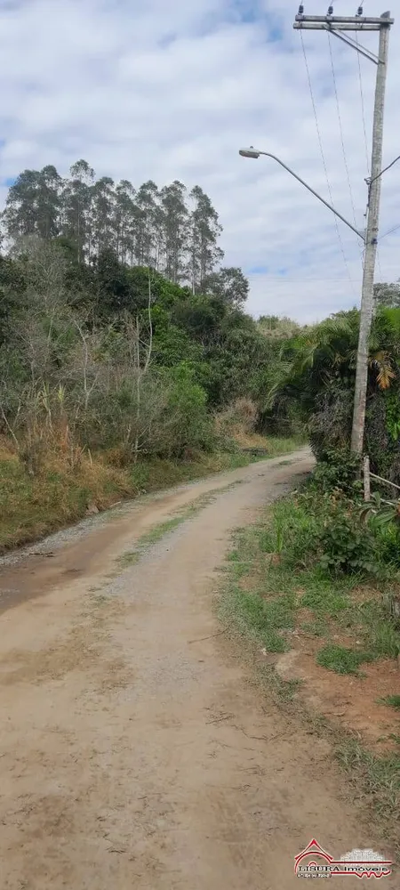 Chácara, 2 quartos, 3 hectares - Foto 1