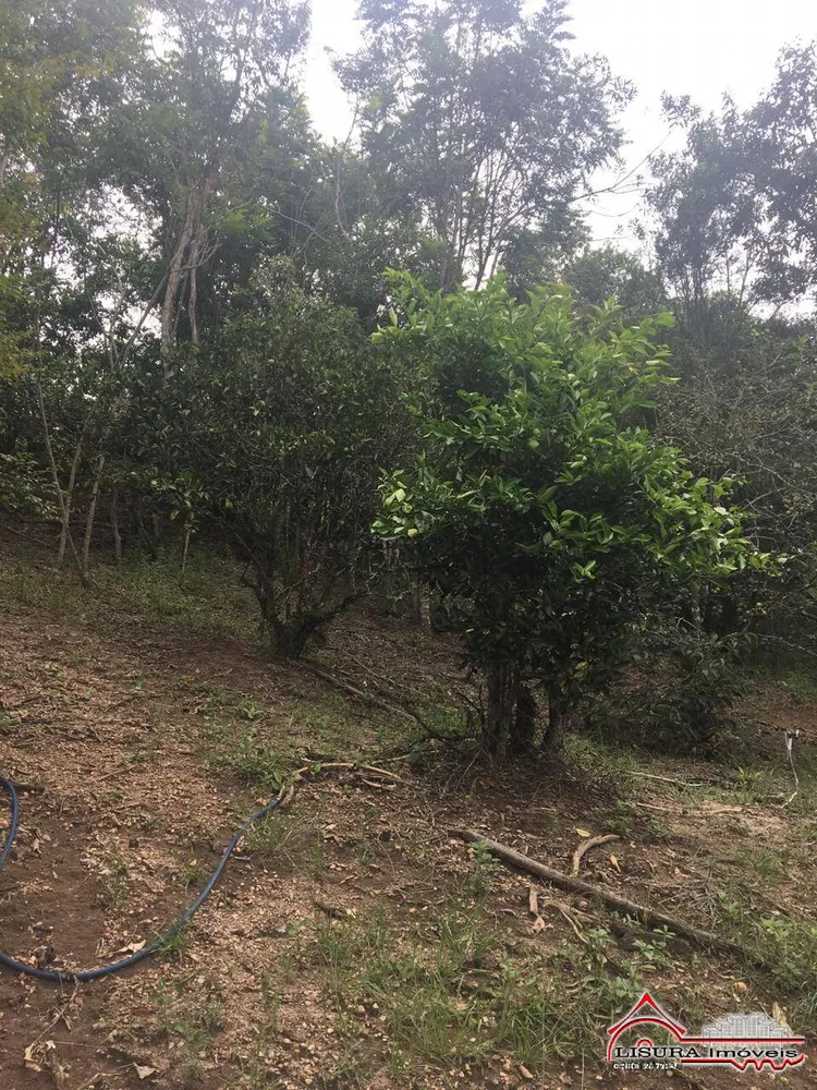 Chácara, 2 quartos, 3 hectares - Foto 2