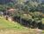 Terreno - Foto 2