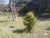 Terreno, 3 hectares - Foto 4