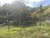Terreno, 3 hectares - Foto 10