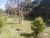 Terreno, 3 hectares - Foto 8