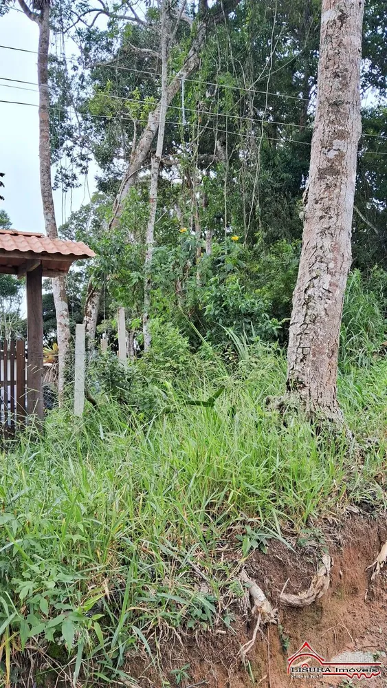 Terreno, 2539 m² - Foto 2