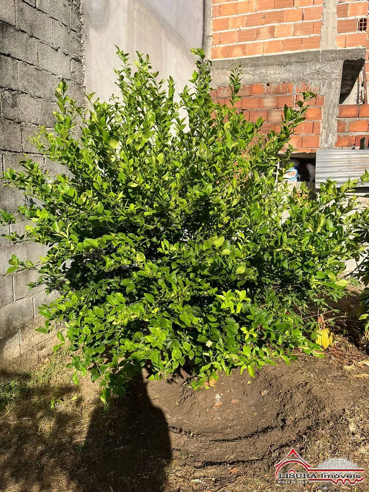 Terreno, 175 m² - Foto 2