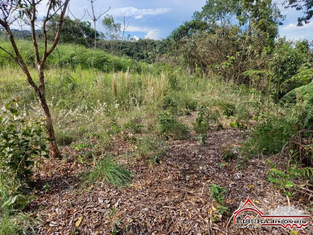 Terreno, 10000 m² - Foto 15