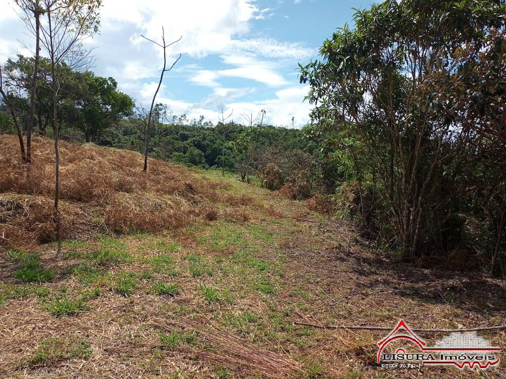 Terreno, 10000 m² - Foto 3