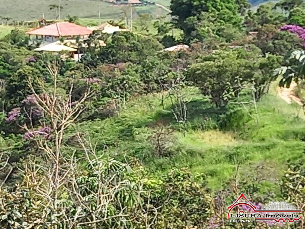 Terreno, 10000 m² - Foto 4