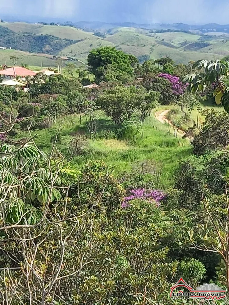 Terreno, 10000 m² - Foto 7