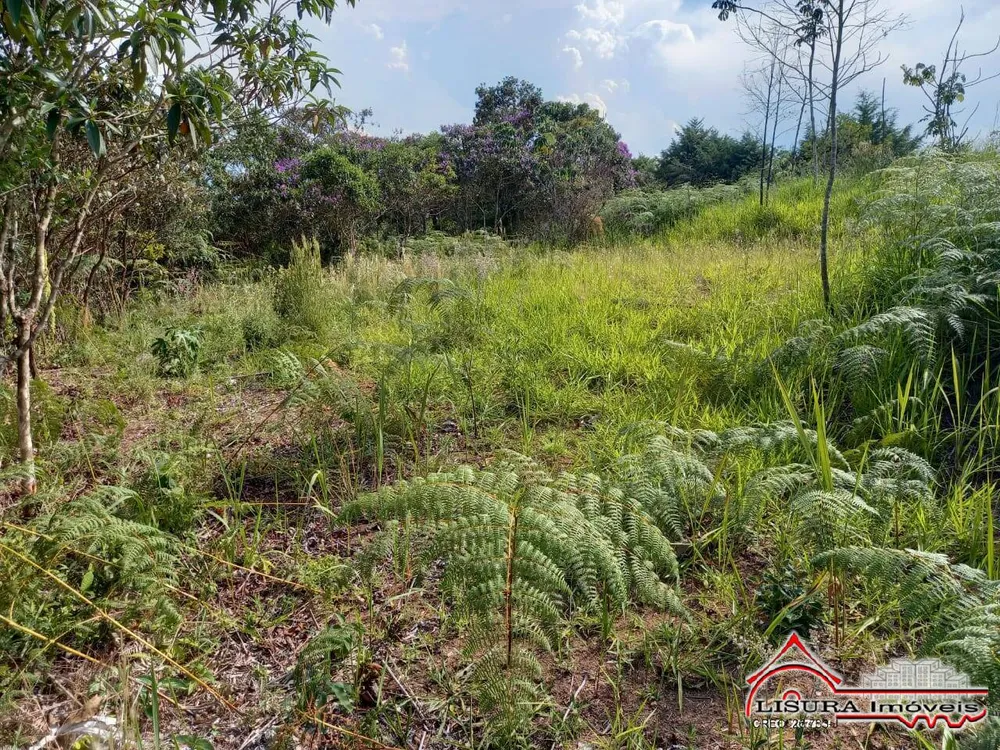 Terreno, 10000 m² - Foto 6