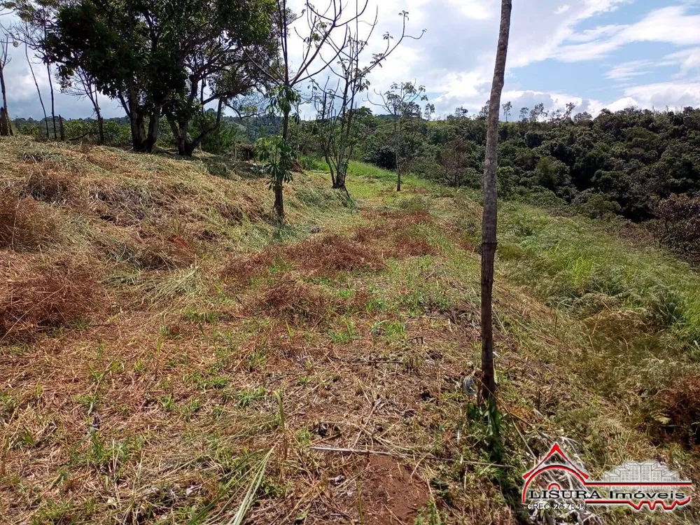 Terreno, 10000 m² - Foto 6
