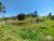 Terreno, 25 hectares - Foto 52