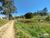 Terreno, 25 hectares - Foto 8