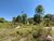 Terreno, 25 hectares - Foto 31